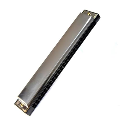 n[jJ 24 n[jJ C L[IKn[vs|[^uy평S҂̂߂ (Color : Silver)