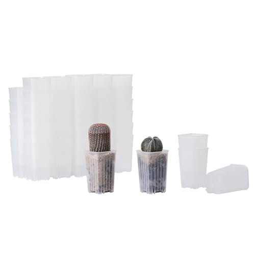 BangQiao 60 Pack 1.95 Inch Tiny Clear Plastic Square Nursery Pot