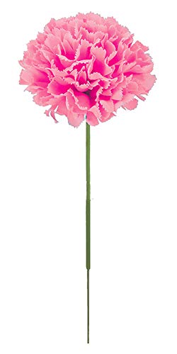 sG}tJ[l[VsbN sN FLP6019PKHI J[l[VsbN J[l[V ̓  sbN A[gt[ AW G}