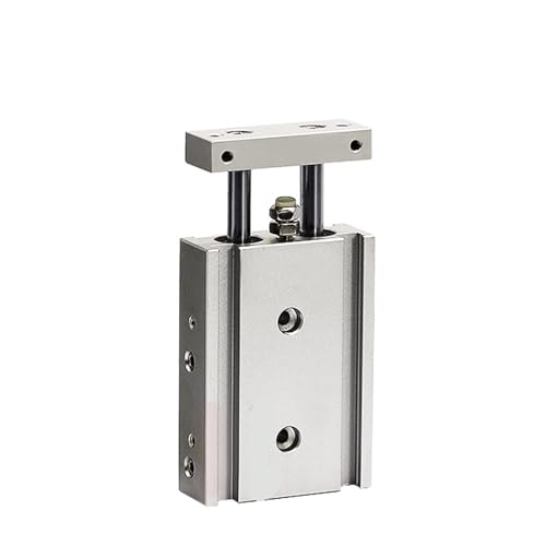 Cilindro doble varilla TR10 para evitar giros en guiados neumáticos compactos 2