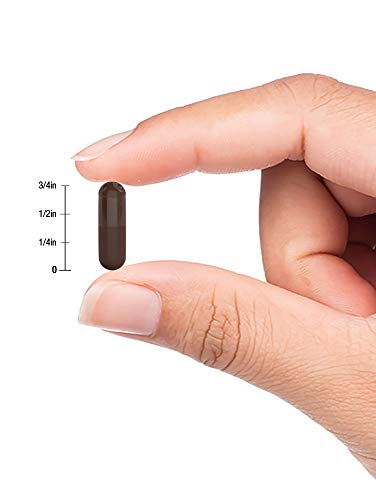 Horbaach Activated Charcoal 180 Capsules | from Coconut Shells | Non-GMO and Gluten Free Pills | Helps Bloating and Digestion