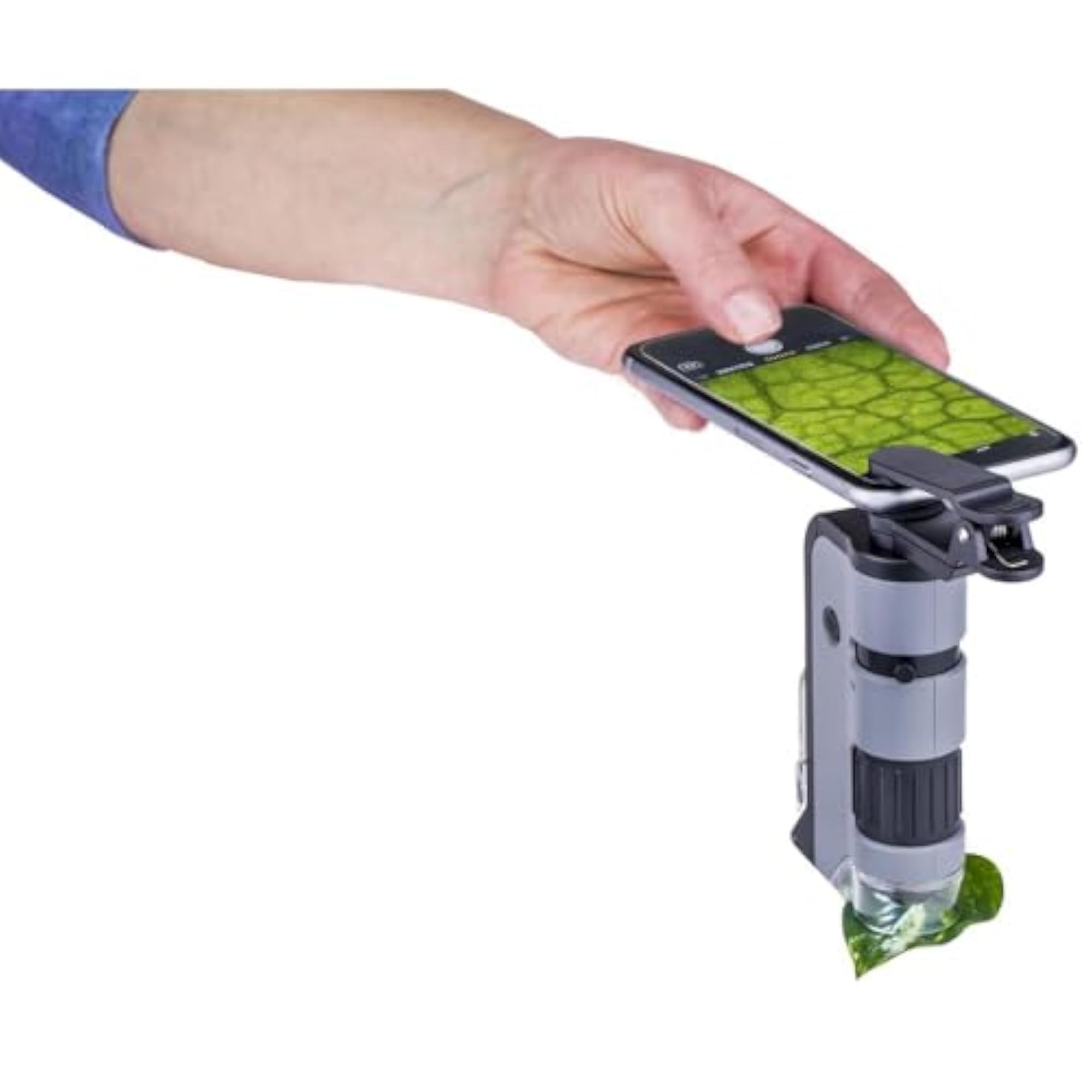 MicroFlip 100x-250x LED Lighted Pocket Microscope