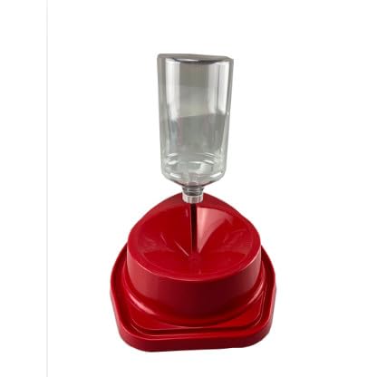 Bebedouro Automático Não Molha Pelos Longos Para Cães Cachorros Gatos 1 Litro Com Galãozinho (VERMEL