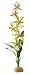 Exo Terra Spider Orchid Terrarium Plant