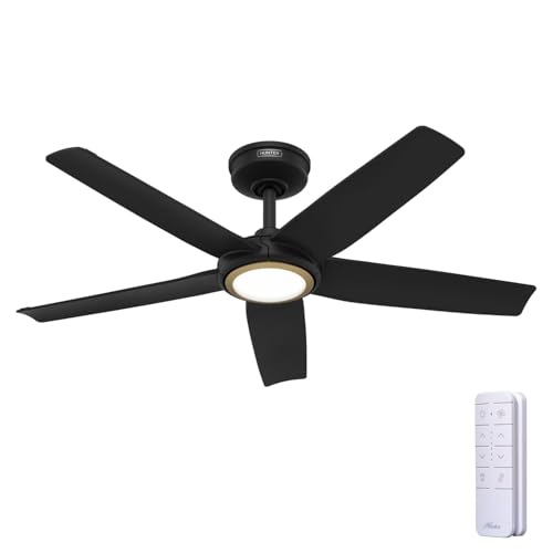 Hunter 44 Matte Black Indoor/Outdoor Ceiling Fan