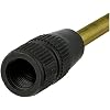 gloria Spray Lance Cpl