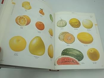 Hardcover Le visuel compact : Dictionnaire bilingue français et anglais [French] Book