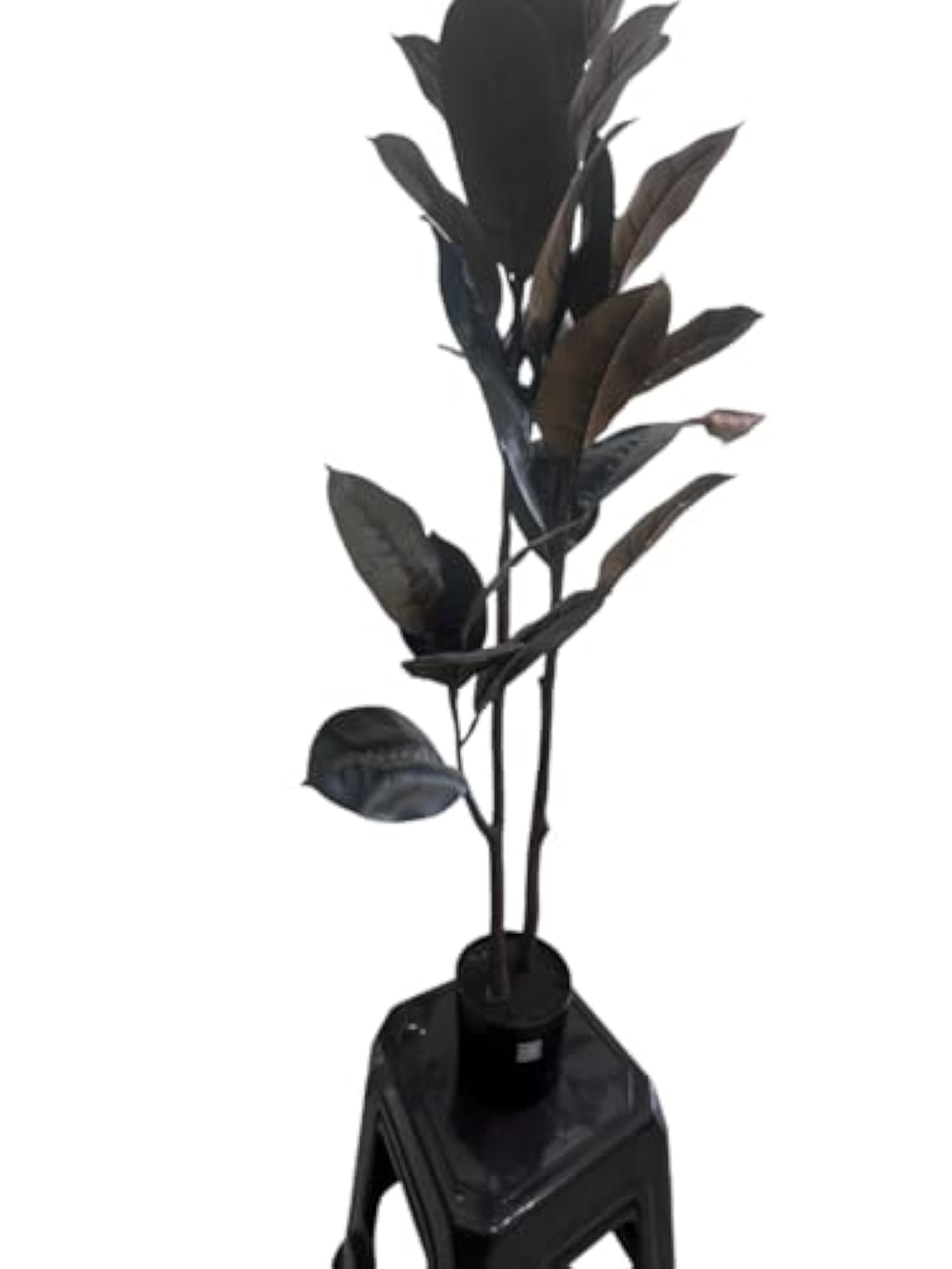 Artificial Rubber Tree Plant, 120 cm Premium