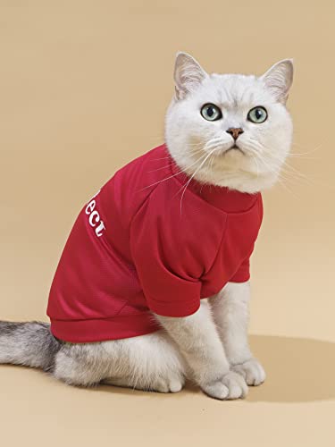 Qwinee Letter Graphic Dog T-Shirt Dog Sweatshirt Puppy Dog Clothes For Cat Puppy Kitten Small Medium Large Dogs Multicolor Medium #TOP2