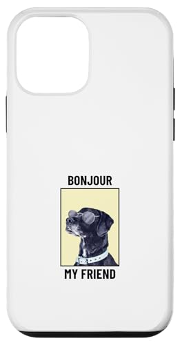Bonjour My Friend (�t�@�j�[�t�����`�X�e�[�g�����g) (�h�b�O�O���t�B�b�N) �X�}�z�P�[�X iPhone 12 mini �p