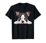 Adorabile design del viso di Boston Terrier che cattura l'essenza di questa adorabile razza, perfetta per gli appassionati di cani e gli amanti degli animali domestici.
