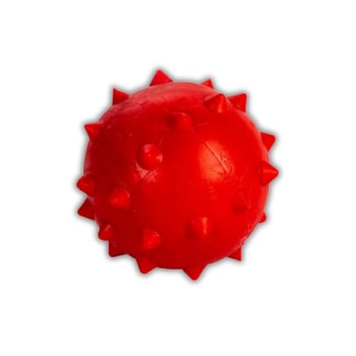 Proporcione Diversão Duradoura e Bem-Estar ao Seu Cachorro com a Bola Maciça Higiênica de Mamona Grande - Brinquedo Resistente para Exercícios Ativos!