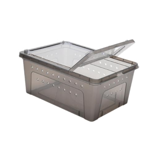 MYCENSE Caixa de alimentação de répteis Habitat Animal Cage portátil Hatching Case Box Caixa de cria