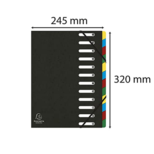 Exacompta 55121E Premium Ordnungsmappe Harmonika. Aus extra starkem Colorspan-Karton DIN A4 12 Fächer und 2 Gummizüge mit Indexfenster und dehnbarem Rücken Register-Mappe schwarz