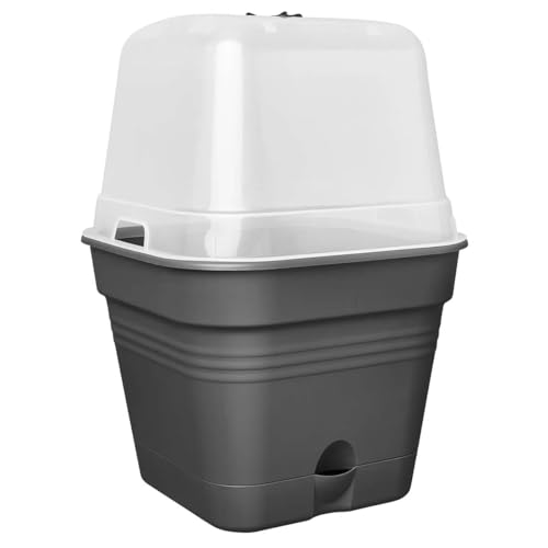 elho Green Basics Growpot Square Allin1 15 - Flower Pot for Grow your own - diameter 15.0 x H 12.1 cm - Black/Living Black