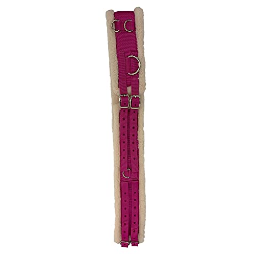 Shires Equestrian Nylon Lunging Roller With Fleece Padding (X-Full, Blue) #TOP3