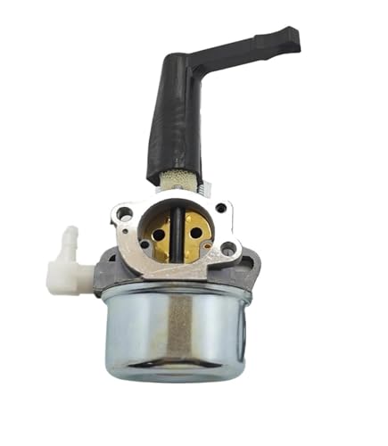 Carburateur 696065 idéal pour redémarrer la motobineuse au printemps