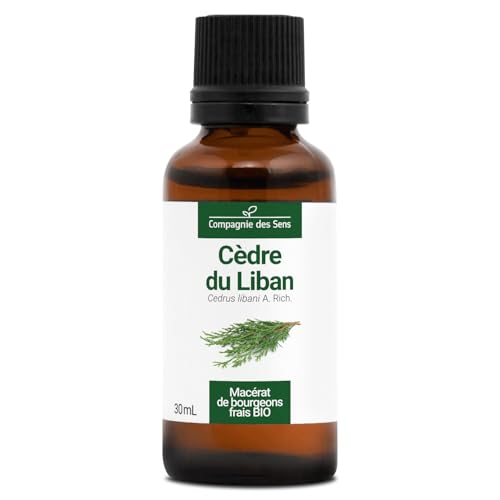 Cèdre du Liban BIO - 30mL - (Cedrus Libani) – Macérat concentré de bourgeons frais