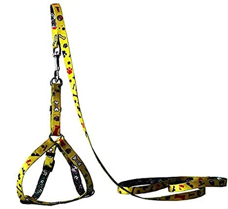 PSK PET MART 0.5 Inch Dog Nylon Printed Harness Belt with Leash for Puppy and Small Dog (Adjustable Chest Size - 13-19 inch) (B0BK4BTTCZ) Amazon Price History, Amazon Price Tracker