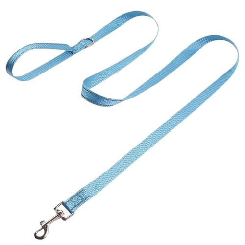 Collier de protection et laisse réglables pour chien qui tire sangle en métal