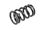 GM Genuine Parts 85020894 Drehmomentwandler Kupplung Schaltventil Feder