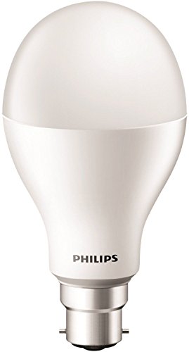 Philips 17-Watt LED Bulb (Pack of 2, Cool Day Light)