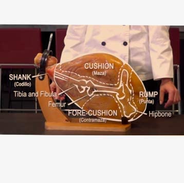 Serrano Cured Ham Bone In Shoulder | Spanish Jamon Serrano | Cured Aged 12 Months + | Mediterranean Salt Only | No Nitrates, Preservative Free |16-18 Pounds | Wood Stand + Knife | Packaged In Gift Box #TOP3