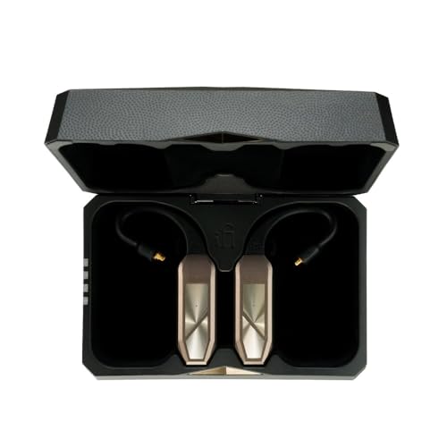 Amazon | iFi audio GO pod MAX【日本正規店より発送】Bluetoothアンプ