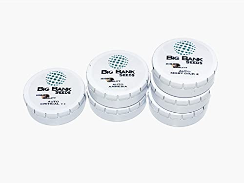 Pack x3 Big Bank Seeds Auto Gorilla Glue Fem. Exterior and Interior. Gift Manual.