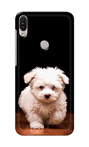 Image of Printed Hard Back Cover Case for Asus Zenfone Max Pro (M1) | Zenfone Max Pro M1 (5.99 inch) Back Cover (Puppy Dog) -203