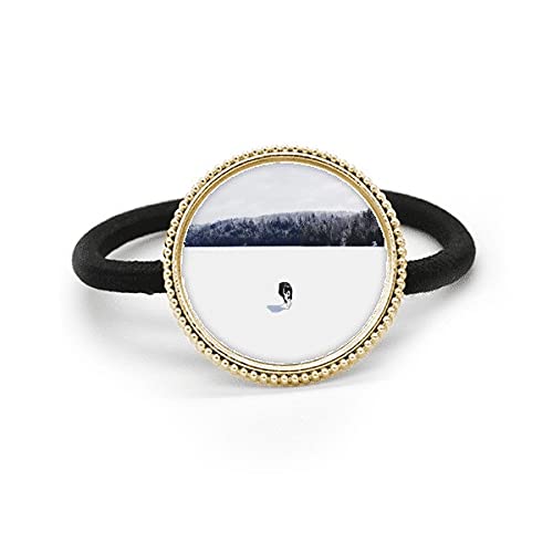 Élastique à cheveux en métal argenté photo de neige bandeau élastique femme