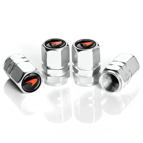 ԗp^CouLbv 4 }N[ 720S, FȂ h ˂ݎ Cɖꂽ\ȃ_XgLbv,Silver B [sAi]