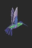 kolibri vogel kaufen  Kolibri: Notizbuch A5 für Vogel-Liebhaber Vogelbesitzer und Tierfreunde sowie Freunde von Farbenfrohen Bunten Kolibri I A5 (6x9 inch.) I Geschenk I 120 Seiten I Kariert