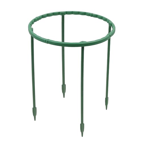 ZONADAH Lot de 10 supports de plantes - 15 x 14,5 cm - Semi-circulaire - Vert - Anneau de support pour plantes - Support de cage pour légumes, plantes grimpantes, fleurs d'intérieur