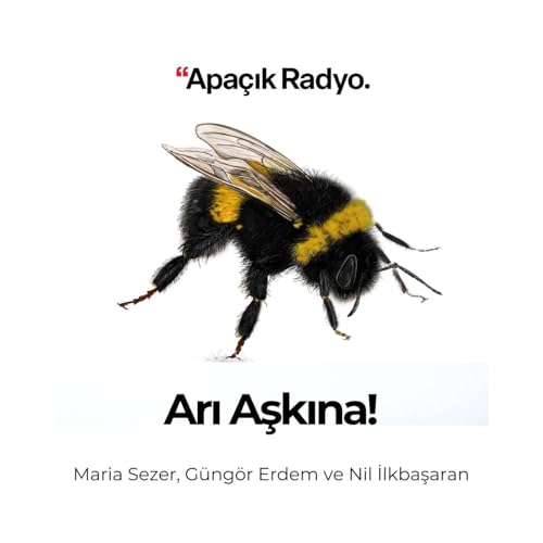 Arı Aşkına! cover art