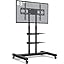 BLACK WITH 2 SHELVES
