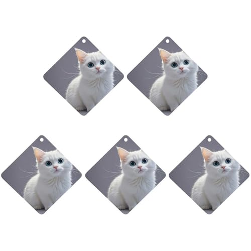 Ă킢LpԗpFܒ݂艺`bv5pbN Ԃ̍tnMOV[g    CeA  Ђ`AzCgX^C