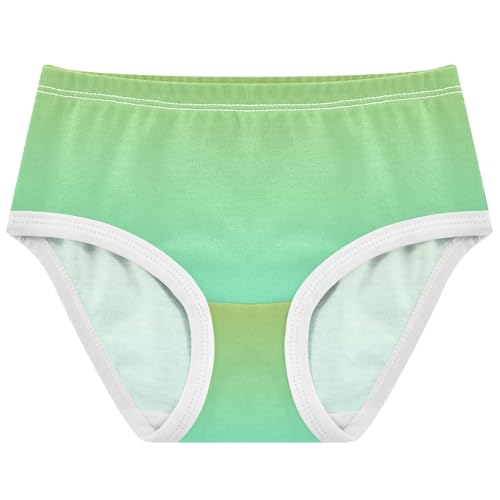 Joisal Ombre Green Aqua Gradient Girls Underwear Toddlers 2t Cotton Panties for Girl Designer Briefs Girls Undies