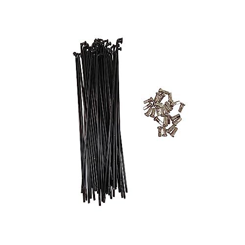 Rayons de vélo 12G haut de gamme pour conversion ebike 218mm