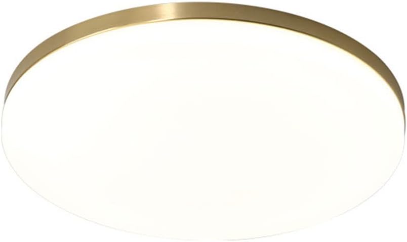 Nordic Led Ultra Thin Ceiling Light Easy to Install Embedded Flat Light Dimmable Round Minimalist Lamp with Remote Close to Ceiling Light Fixture for Learning Room, Tea Room, Bathroom/38Cm
