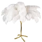 princess table grill pure australia WARM WHITE LED: This ostrich floor lamp features 3 warm white LED light sources that pass through the pink ostrich feathers, creating a warm and romantic ambiance in your bedroom or living room. LED are included for .