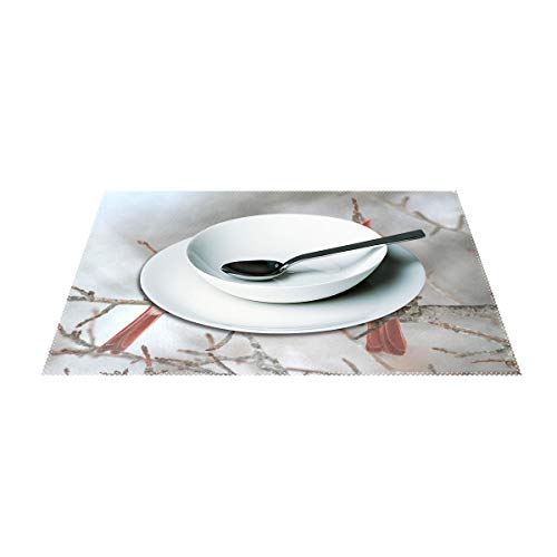 Alaza Winter Cardinals Snow Placemats For Dining Table Heat Resistant Kitchen Table Decor Washable Table Mats Set Of 4 #TOP2