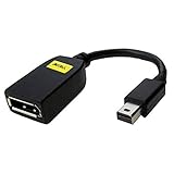 Accell Mini DisplayPort to DisplayPort Passive Adapter Video Converter (B112B-001B-2)