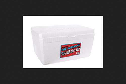 Lifoam Hercules Styrofoam Ice Chest, Huskee Collection, 45 quart