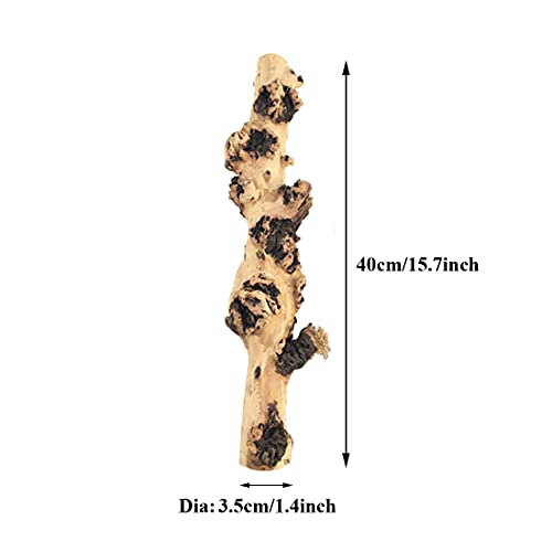 Hamiledyi Aquarium Driftwood Branches,Natural Forest Branches Assorted Size Tree Trunks Aquarium Wood Decor Fish Tank Terrarium Decoration (4 Pcs) #TOP7