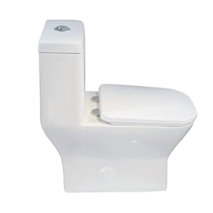 Winzo wz5029 square one piece toilet single flush 128 gpf elongated rectangle comfortable bowl for modern bathroomwhite  urban country home decor