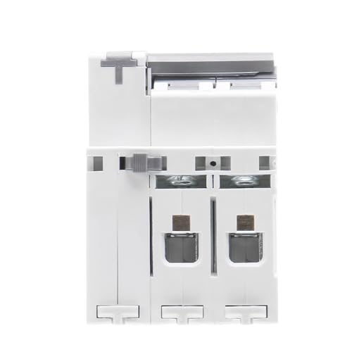 Disjoncteur réarmement automatique 2P pour rail de tableau