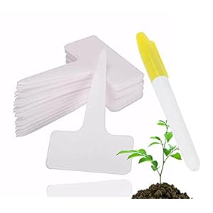 Plantmarkeringsset met 100x borden & 1x pen – plantplug – labels & pen voor het markeren van planten