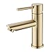 TRUSTMI Rubinetto per lavabo con rubinetto miscelatore monocomando in ottone spazzolato in ottone dorato
