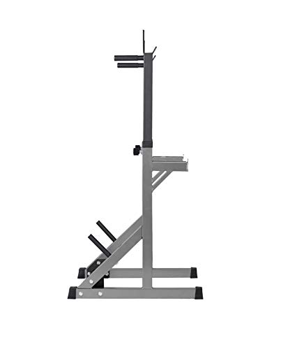 BuyHive Squat Rack Bench Press Weight Power Rack Dumbell Stand Workout Strength Training Barbell Rack